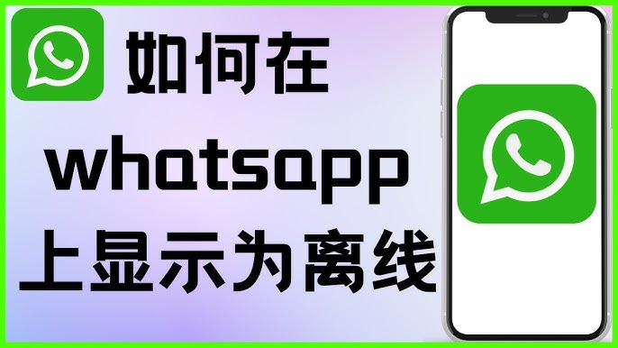 WhatsApp如何设置离线？